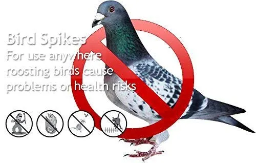 Pigeon Control Netting